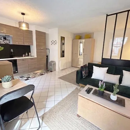 Serein, Rer 5mn,paris En 15mn,commerces 3mn Apartment