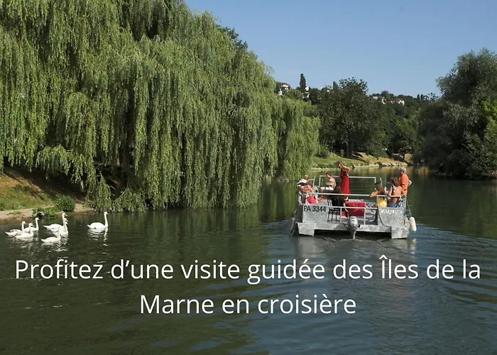 Renove, Calme, Commerces & Rer A 5 Min Nogent-sur-Seine